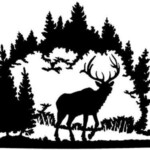Wildlife Scene
